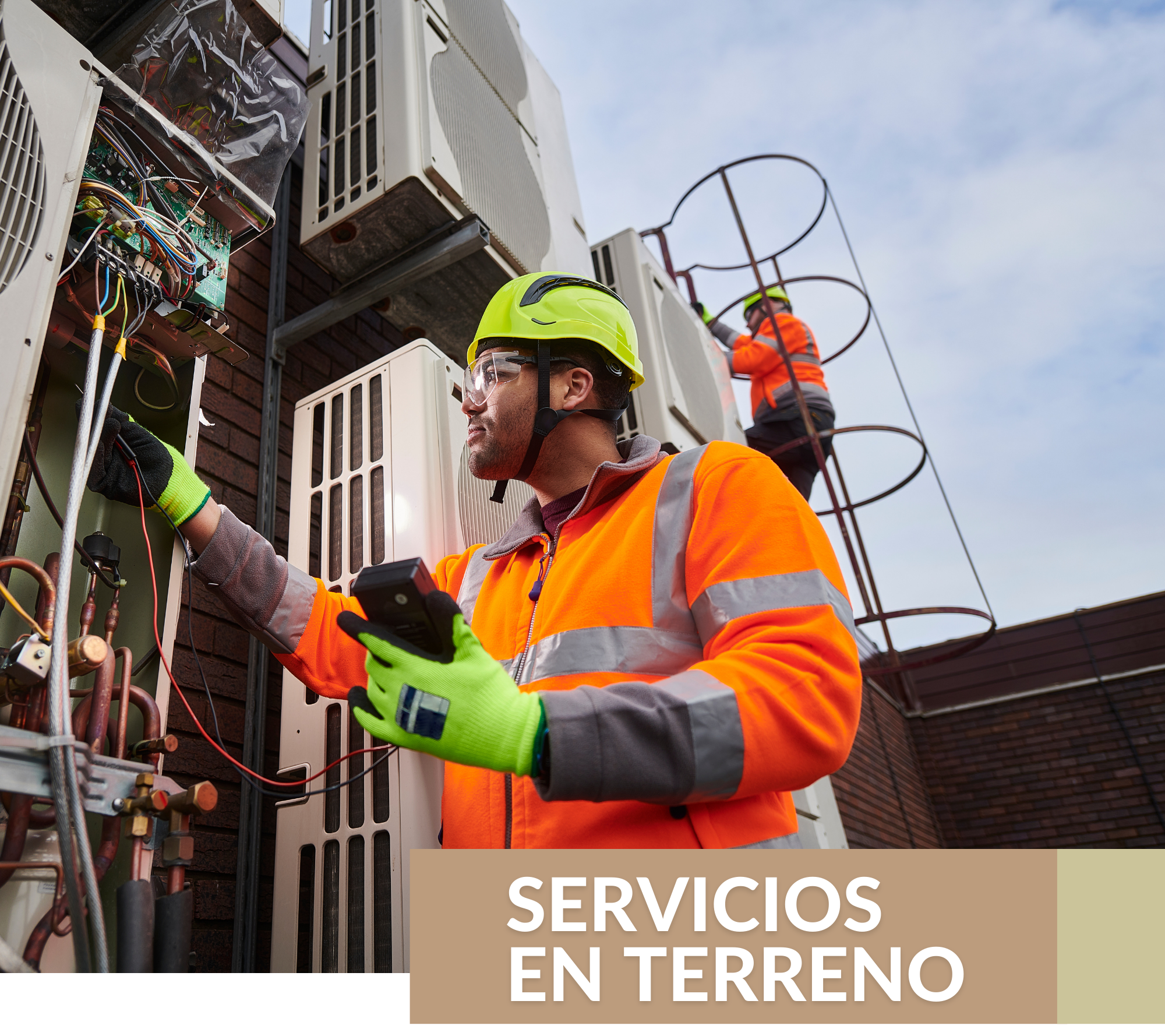 Una amplia gama de servicios en terreno.
